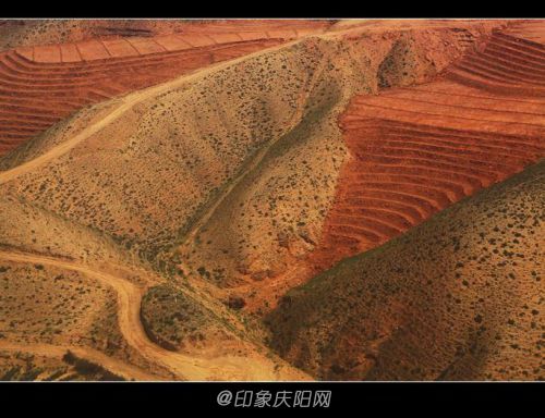 魅力青海-漆蘭老師攝影作品