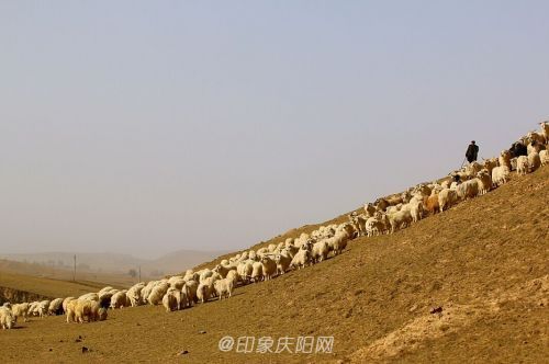 QQ圖片20150327102412