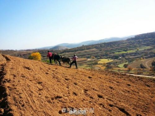 黃土高原的母親