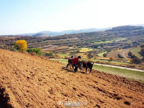 黃土高原的母親