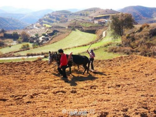黃土高原的母親
