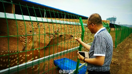 6bd61591jw1esnv8mlsskj20zk0k1qmb