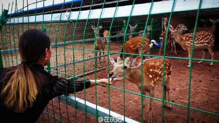 6bd61591jw1esnv8qaanij21ls0wg4qq