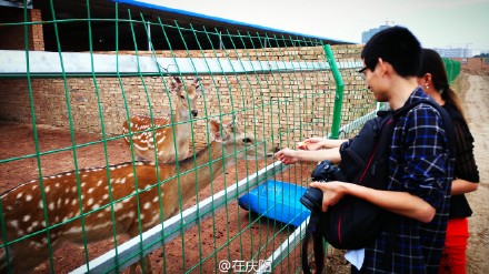 6bd61591jw1esnv8l3jr0j21ls0wg1ky