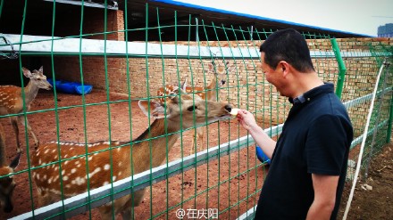 6bd61591jw1esnv8t8sjxj21ls0wg1ky