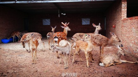 6bd61591jw1esnv8zxj1pj21ls0wg1ky