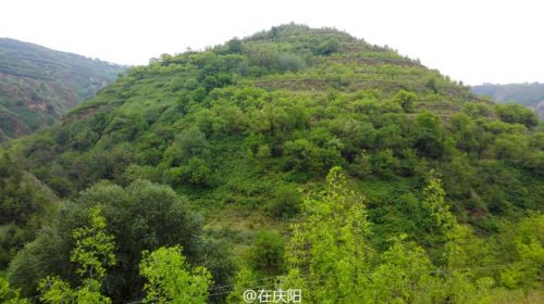 6bd61591jw1esnszec211j237k1sw7wk