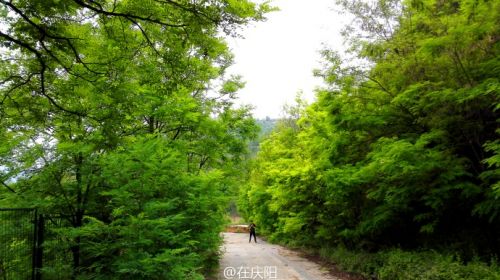 6bd61591jw1esnszlvdo8j237k1swx6s