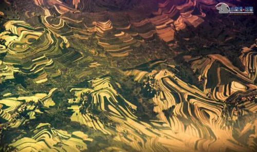 QQ截圖20150731090632