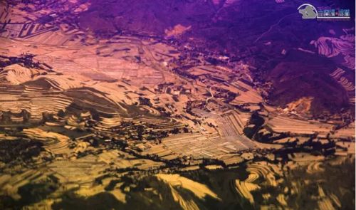 QQ截圖20150731090623