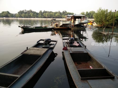 1300萬像素大底傳感器 一加手機2成像測試