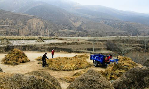 村民張鋒每年都要種植大面積的胡麻。村上交通條件改善后，油料、小雜糧等農(nóng)產(chǎn)品銷售也便利多了。