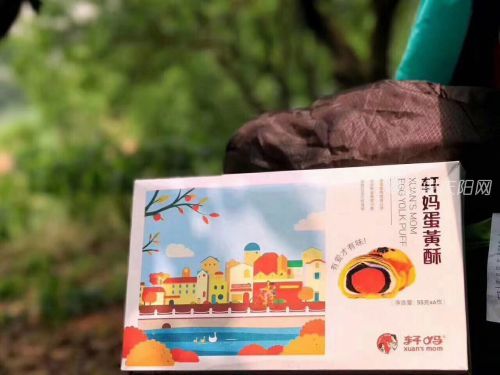 *轩妈蛋黄酥*怎么能加入团队?团队有扶持吗?-青青岛社区