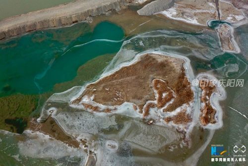 129785235_15153755688771n