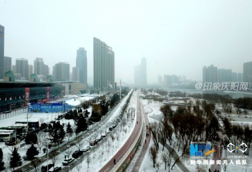 129786347_15154676061121n