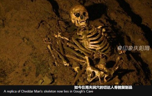 點(diǎn)擊查看大圖