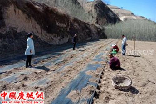 庆城县蔡口集:驻村干部扎实帮扶暖民心