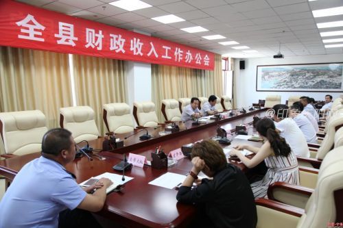 财政收入_财政收入会议讲话(2)