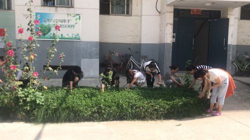 工作人员清理小区绿化带