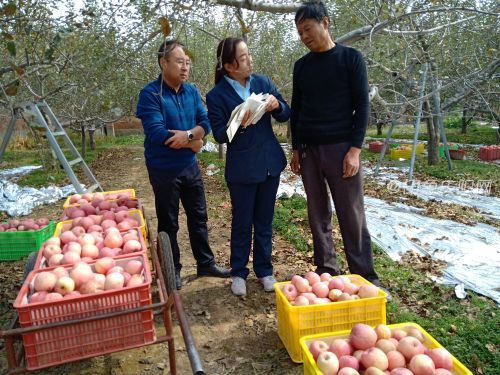 图二：邮政公司上门服务，核对发货信息。