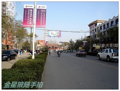 DSC00215