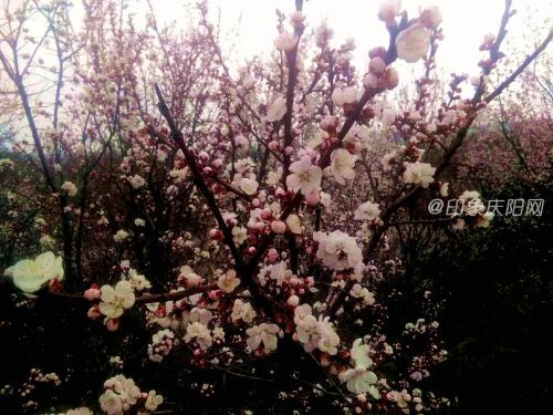 微信圖片_20190423164341