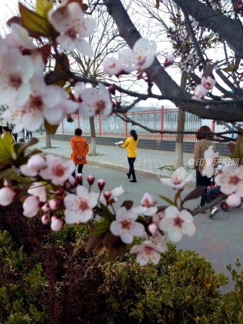 微信圖片_20190423164354
