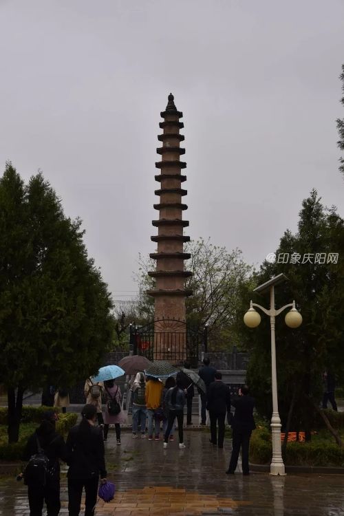 微信图片_20190513085504