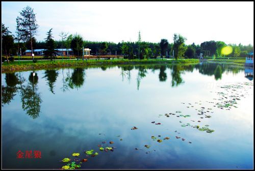 海綿公園07