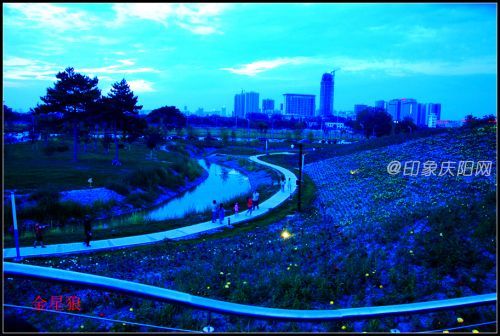 海綿公園26
