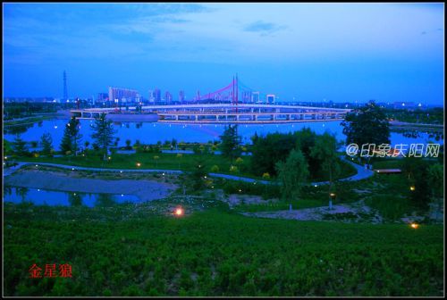 海綿公園27