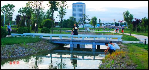 海綿公園10
