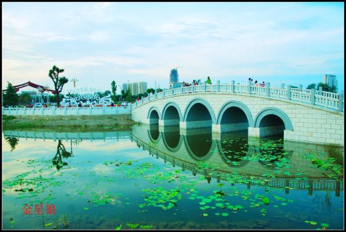 海綿公園18