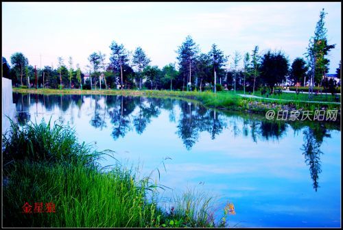 海綿公園09