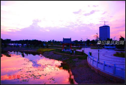 海綿公園22