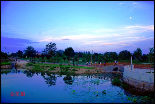 海綿公園21