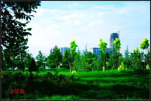 海綿公園03