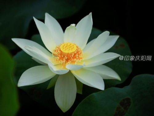 微信圖片_20190725171754