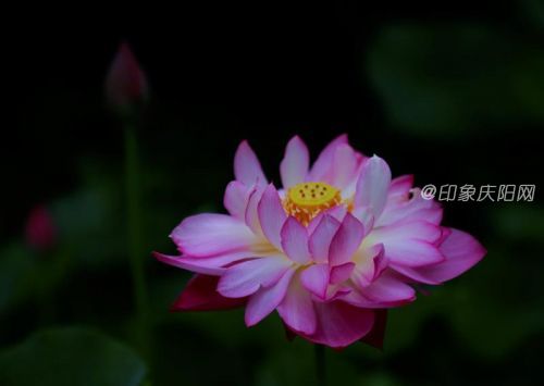 微信圖片_20190725171803