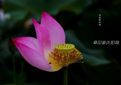 微信圖片_20190725171819