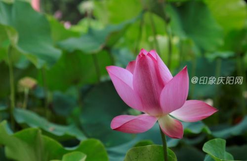 微信圖片_20190725171813