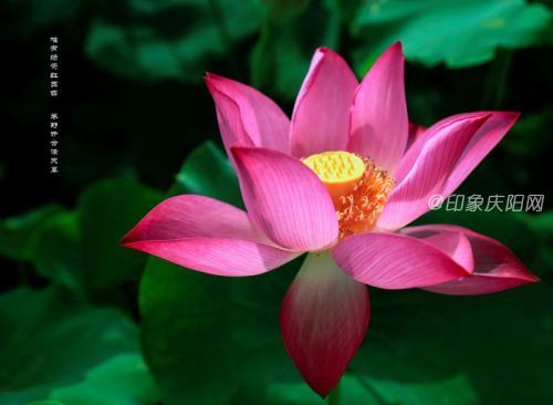 微信圖片_20190725171816