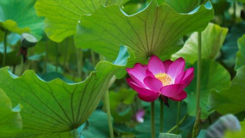 微信圖片_20190725171810