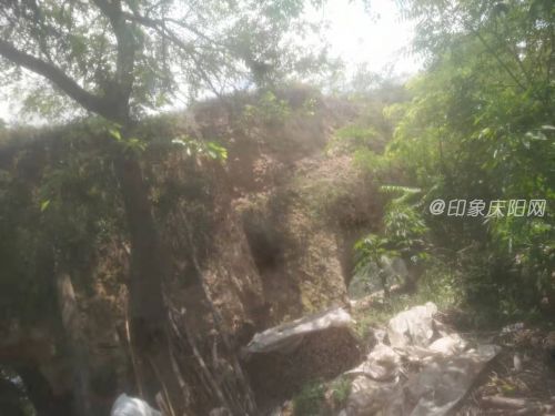 罗川3