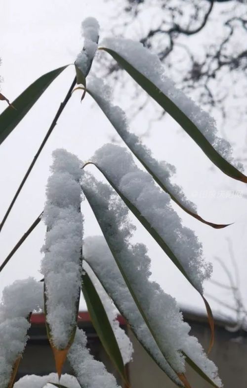 微信圖片_20200222174736