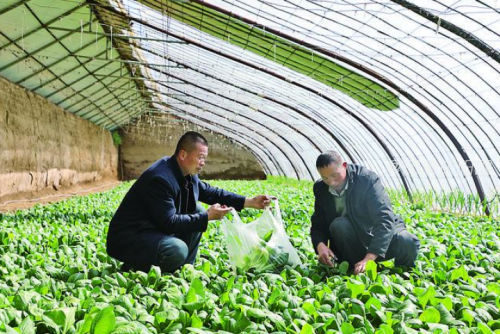 9ff098e1-9ddf-4d1f-906b-fe101b8282bf