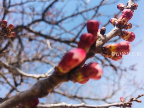 微信圖片_20200316161154