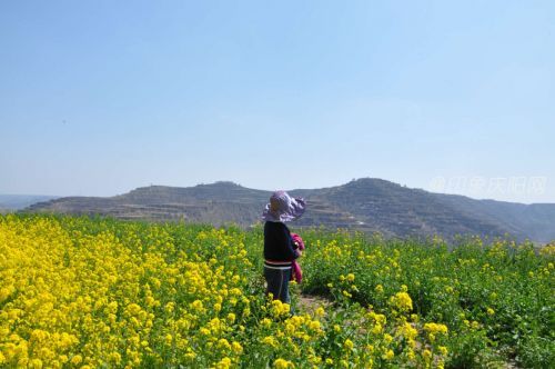 微信圖片_20200407181223