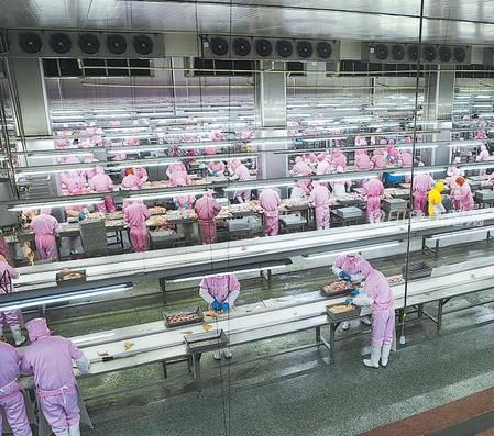 镇原县圣农白羽肉鸡全产业链项目。 新甘肃&middot;甘肃日报通讯员 张昶昶