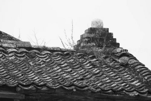 母校  攝影師：一抹斜陽(yáng)